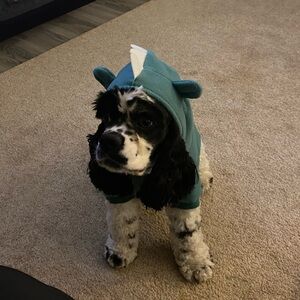Old Navy Teal Dino Dog Hoodie
